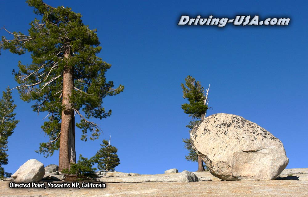 tree - rock - sky; Felsbrocken und Baum vor tiefblauem Himmel