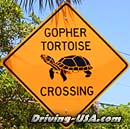 Road Sign: Gopher Crossing