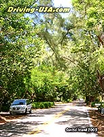 Shady Road at Sanibel Island 2003 